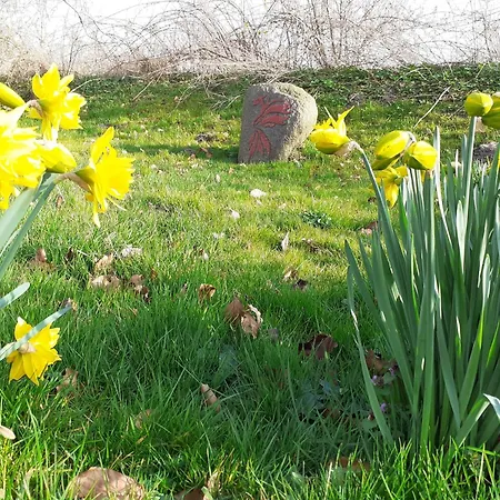 Seminarhof Back - Mit Yogaraum Und Grossem Garten Ellingstedt